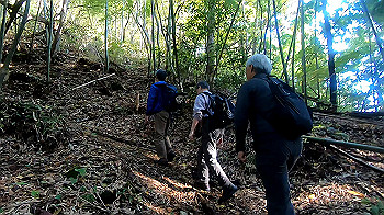 gx011126.mp4_snapshot_02.00_thumb.jpg