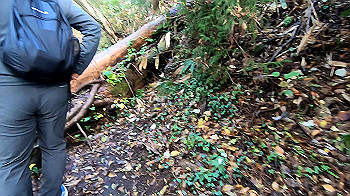 gx011127.mp4_snapshot_00.00_thumb.jpg