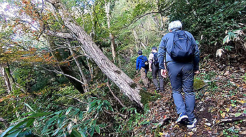 gx011127.mp4_snapshot_00.23_thumb.jpg