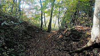 gx011128.mp4_snapshot_00.00_thumb.jpg