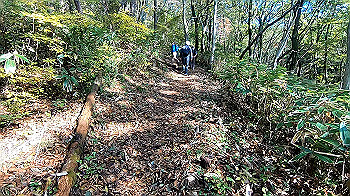 gx011129.mp4_snapshot_00.06_thumb.jpg