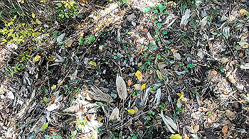 gx011129.mp4_snapshot_00.40_thumb.jpg