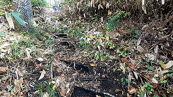gx011130.mp4_snapshot_00.15_thumb.jpg