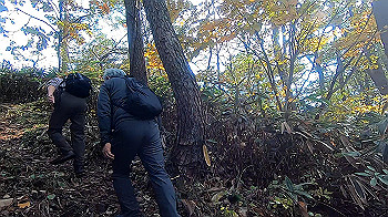 gx011130.mp4_snapshot_03.13_thumb.jpg
