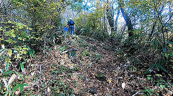 gx011131.mp4_snapshot_00.00_thumb.jpg
