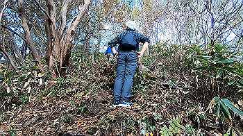 gx011132.mp4_snapshot_00.00_thumb.jpg