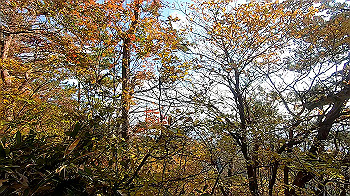 gx011132.mp4_snapshot_01.37_thumb.jpg