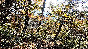 gx011133.mp4_snapshot_00.00_thumb.jpg