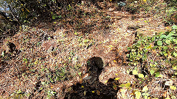 gx011133.mp4_snapshot_00.20_thumb.jpg
