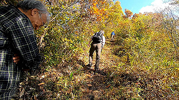 gx011134.mp4_snapshot_00.36_thumb.jpg