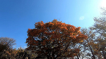 gx011134.mp4_snapshot_03.04_thumb.jpg