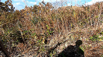 gx011135.mp4_snapshot_00.01_thumb.jpg