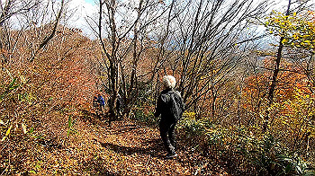 gx011136.mp4_snapshot_01.57_thumb.jpg
