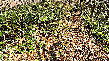 gx011137.mp4_snapshot_00.31_thumb.jpg