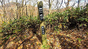 gx011137.mp4_snapshot_02.03_thumb.jpg