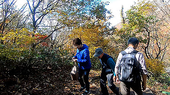 gx011139.mp4_snapshot_00.01_thumb.jpg