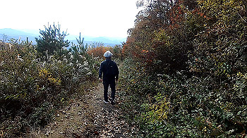 gx011141.mp4_snapshot_00.01_thumb.jpg