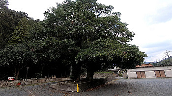 gx011143.mp4_snapshot_00.00_thumb.jpg