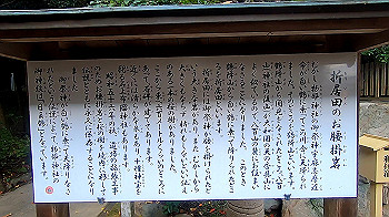 gx011145.mp4_snapshot_00.41_thumb.jpg