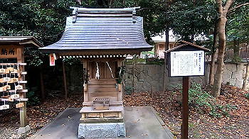 gx011145.mp4_snapshot_01.25_thumb.jpg