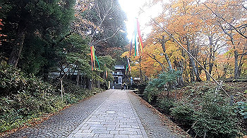 gx011150.mp4_snapshot_00.00_thumb.jpg