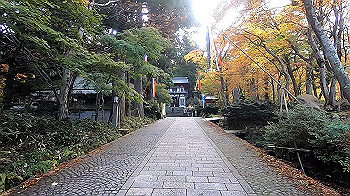 gx011150.mp4_snapshot_00.09_thumb.jpg