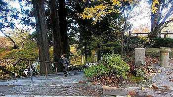 gx011151.mp4_snapshot_02.49_thumb.jpg