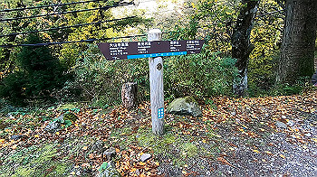 gx011152.mp4_snapshot_00.00_thumb.jpg