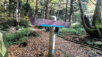 gx011152.mp4_snapshot_02.07_thumb.jpg