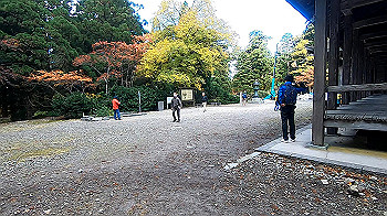 gx011154.mp4_snapshot_00.00_thumb.jpg