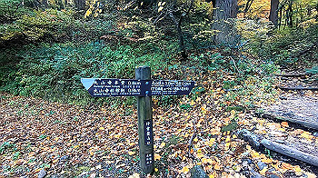 gx011154.mp4_snapshot_00.29_thumb.jpg