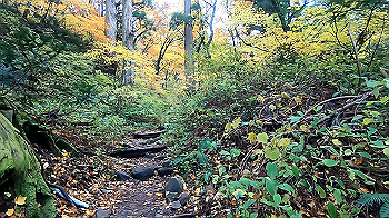 gx011155.mp4_snapshot_00.01_thumb.jpg