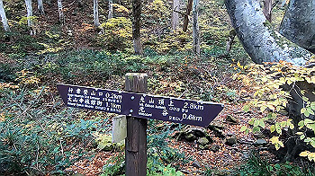 gx011155.mp4_snapshot_02.58_thumb.jpg