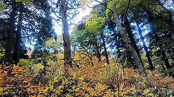 gx011156.mp4_snapshot_00.00_thumb.jpg