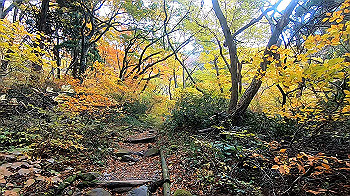 gx011156.mp4_snapshot_00.08_thumb.jpg