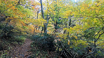 gx011156.mp4_snapshot_00.33_thumb.jpg