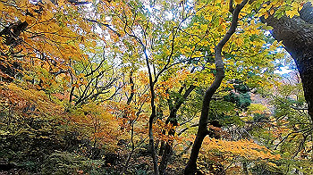 gx011156.mp4_snapshot_00.43_thumb.jpg