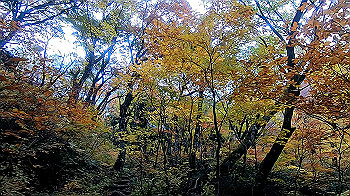 gx011156.mp4_snapshot_01.04_thumb.jpg