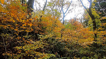 gx011156.mp4_snapshot_01.36_thumb.jpg