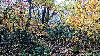gx011157.mp4_snapshot_00.40_thumb.jpg