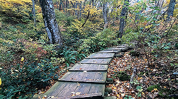 gx011158.mp4_snapshot_00.00_thumb.jpg