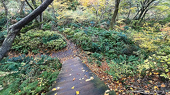 gx011158.mp4_snapshot_00.25_thumb.jpg