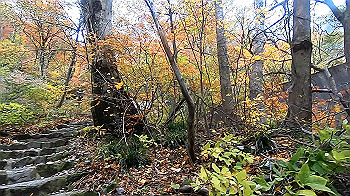 gx011159.mp4_snapshot_00.00_thumb.jpg