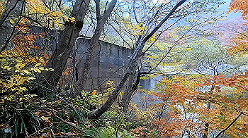 gx011159.mp4_snapshot_00.02_thumb.jpg