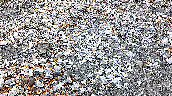gx011161.mp4_snapshot_00.00_thumb.jpg