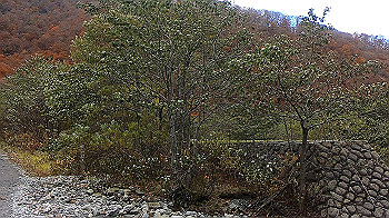 gx011162.mp4_snapshot_00.00_thumb.jpg