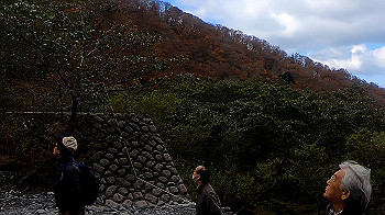 gx011163.mp4_snapshot_00.21_thumb.jpg