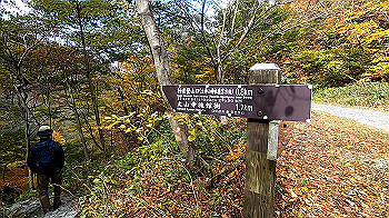 gx011164.mp4_snapshot_00.00_thumb.jpg