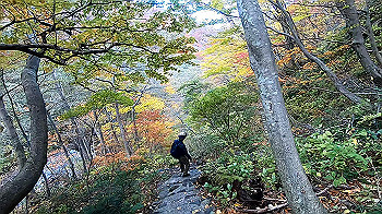 gx011164.mp4_snapshot_00.22_thumb.jpg