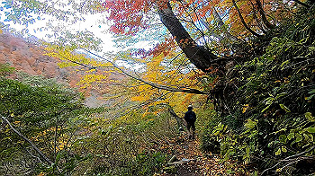 gx011164.mp4_snapshot_00.43_thumb.jpg